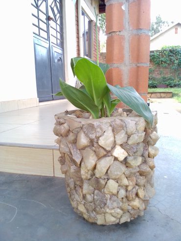 Concrete Vases