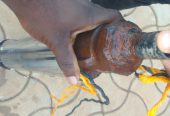 Electric water pump