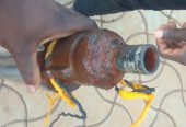 Electric water pump