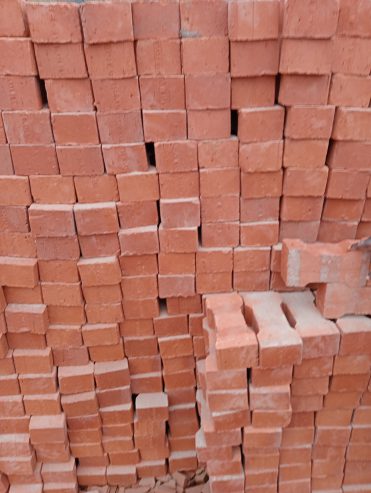 Clay Pavers