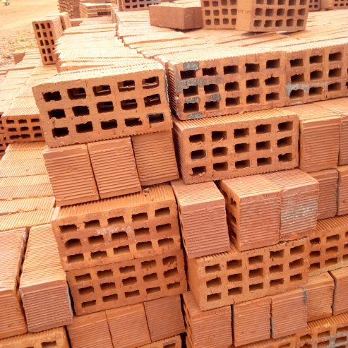 Selected Bricks