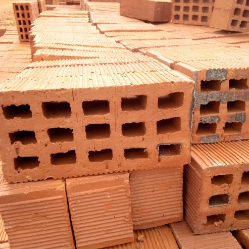 Selected Bricks