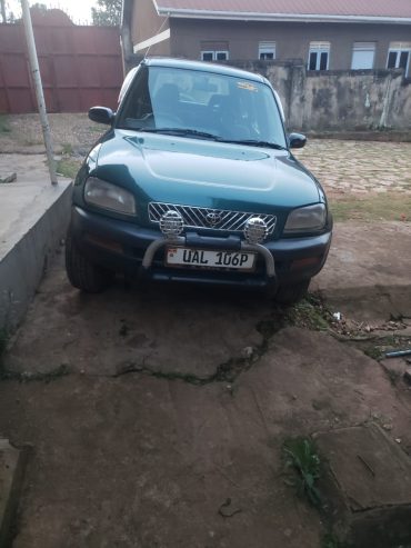Levi tours and car rentals