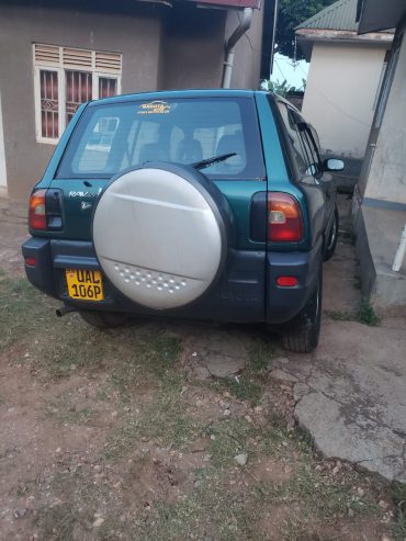 Levi tours and car rentals