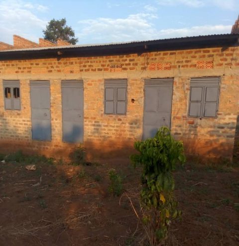 Commercial House