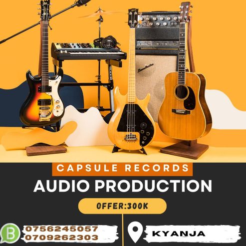 Audio/music production