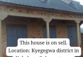 Commercial House
